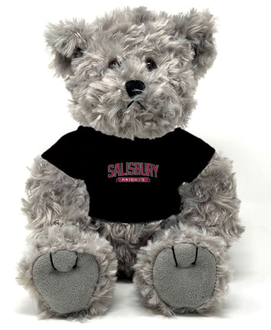 Traditional Bear with T-Shirt