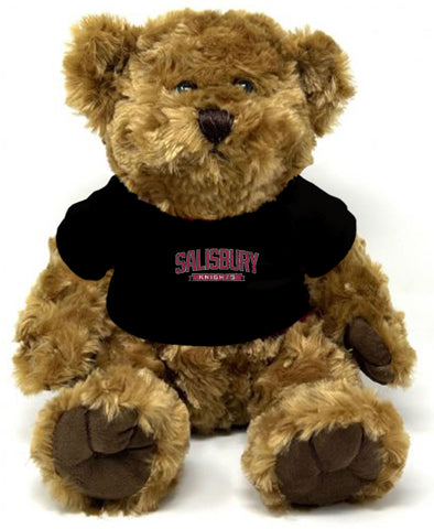 Traditional Bear with T-Shirt