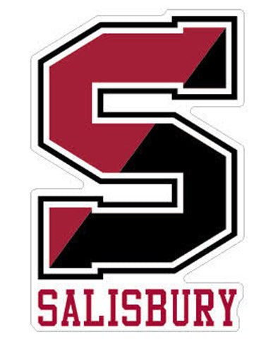 Salisbury Decals