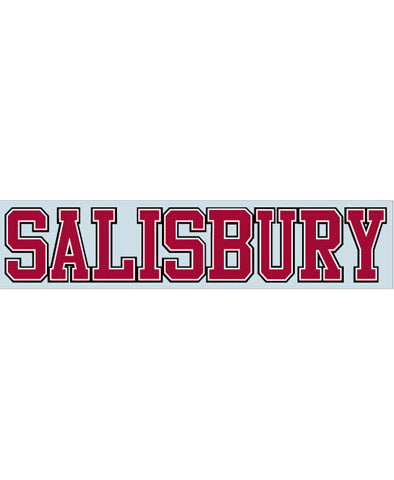 Salisbury Magnets