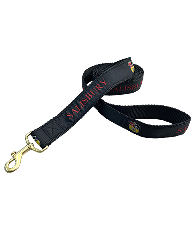Leather Man Pet Leash